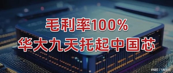 搭档网 毛利率100%，华大九天，托起中国芯！