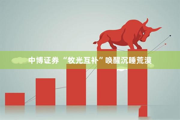中博证券 “牧光互补”唤醒沉睡荒漠