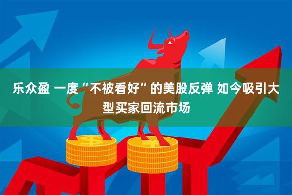 乐众盈 一度“不被看好”的美股反弹 如今吸引大型买家回流市场