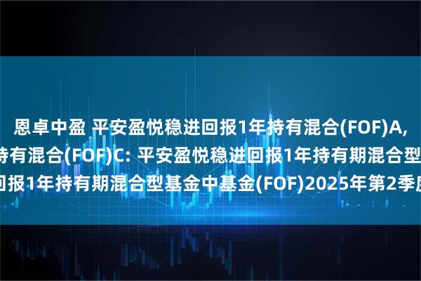 恩卓中盈 平安盈悦稳进回报1年持有混合(FOF)A,平安盈悦稳进回报1年持有混合(FOF)C: 平安盈悦稳进回报1年持有期混合型基金中基金(FOF)2025年第2季度报告