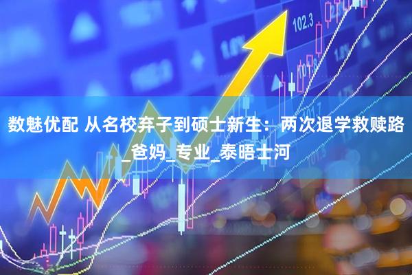 数魅优配 从名校弃子到硕士新生：两次退学救赎路_爸妈_专业_泰晤士河
