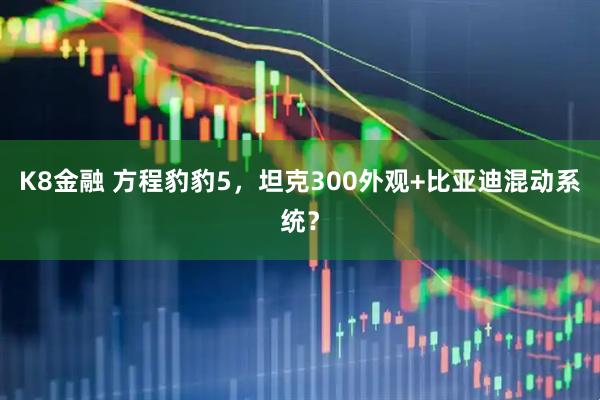 K8金融 方程豹豹5，坦克300外观+比亚迪混动系统？